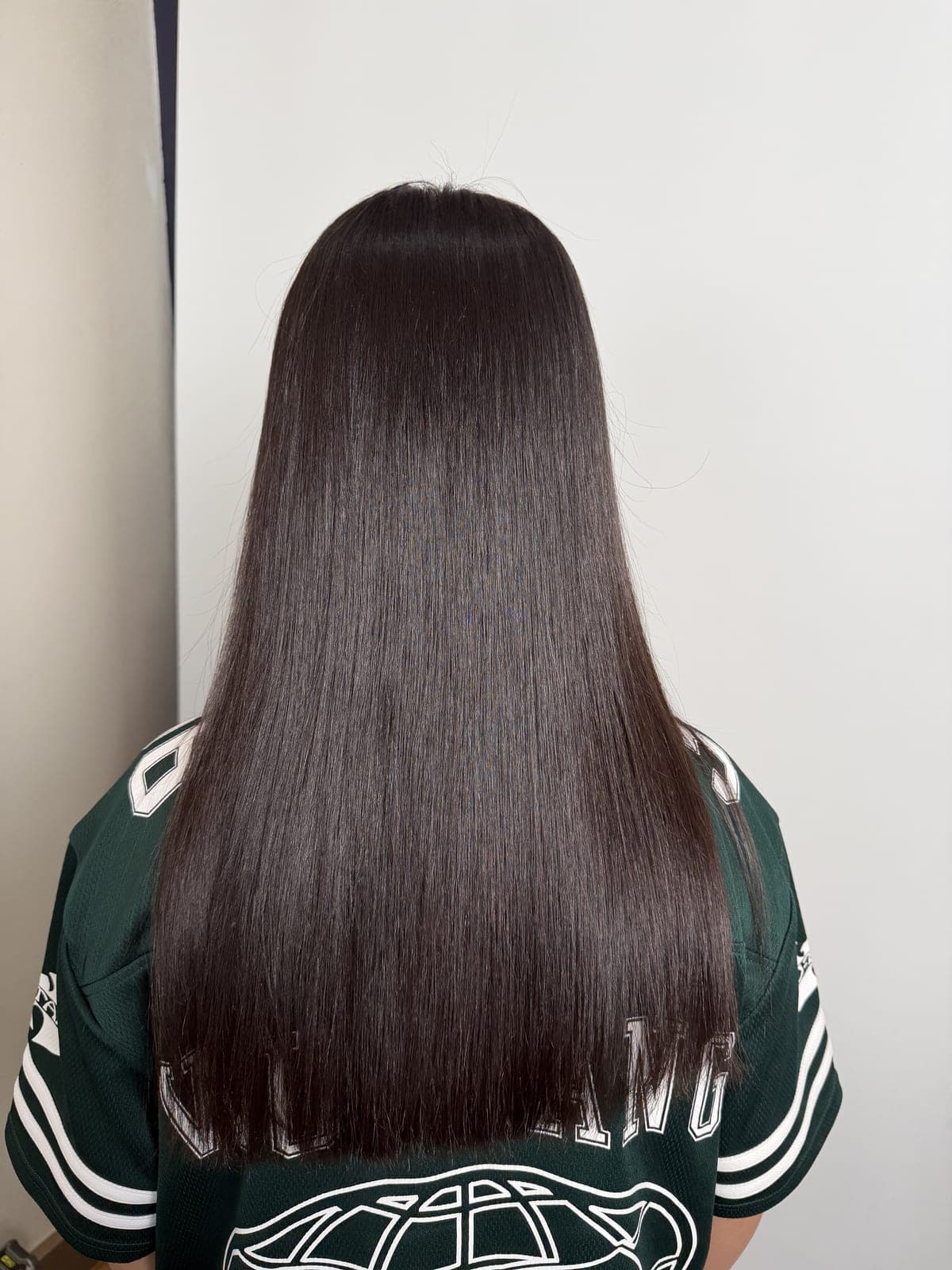 Waist-length dark hair styled pin-straight with a mirror-gloss finish, seen from the back